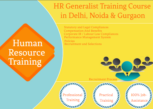 HR Certification in Delhi, Pitampura, Free Payroll, SAP HCM & HR Analytics Classes, SLA Institute, Free Job Placement, 